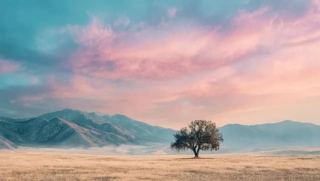 Dedicated support and partnership